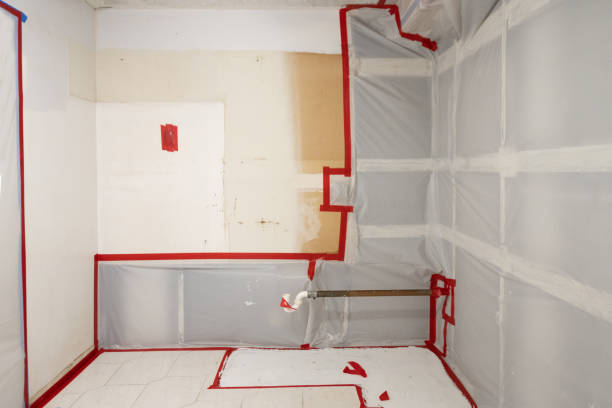 Reliable Hayward, CA Mold Removal Solutions